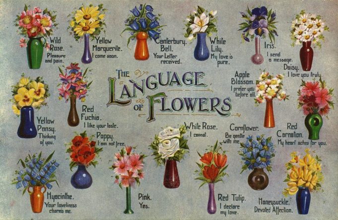 Learn The Secret Language of Flowers: What Every Flower Means language of flowers