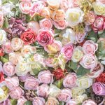 flowers-backgrouds-royalty-free-image-949278496-1558648048