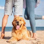 dog-friendly-date-beach-scaled