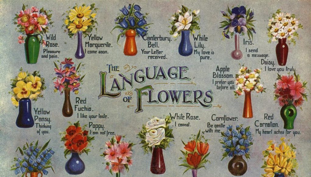language of flowers